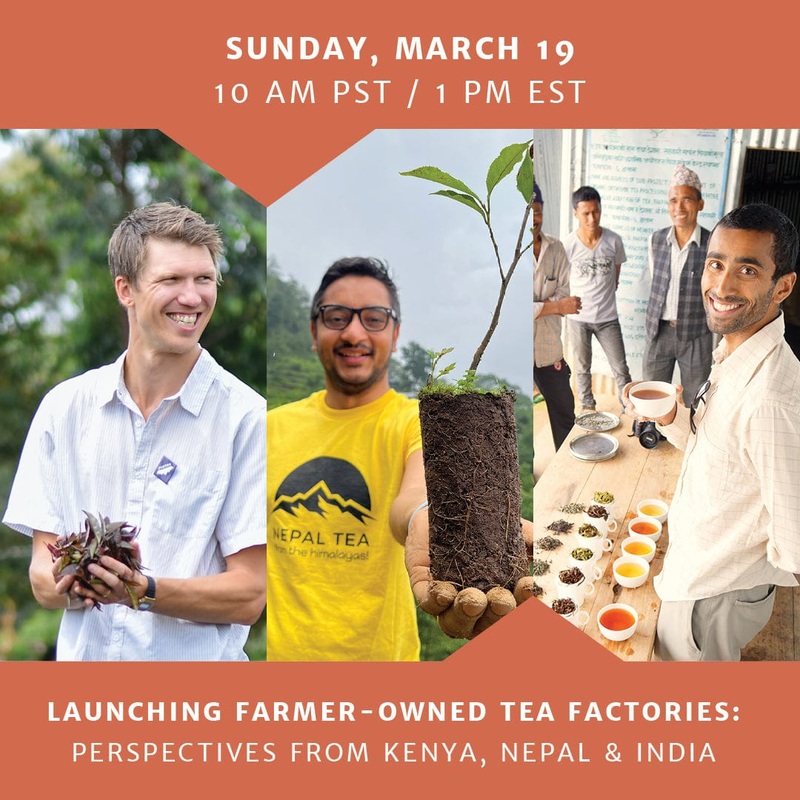 (PAST) Virtual Panel: Launching Farmer-Owned Tea Factories – Perspectives From Kenya, Nepal, and India