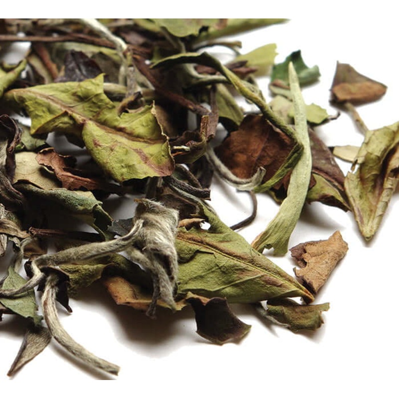 Monkey-Picked White, Organic|Loose leaf sample|1.2 oz Loose|1/2 LB Loose