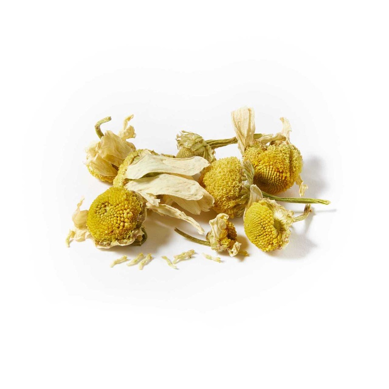 Whole Chamomile Blossoms|25g Pack|50g Caddy|250g Pack|1kg Pack