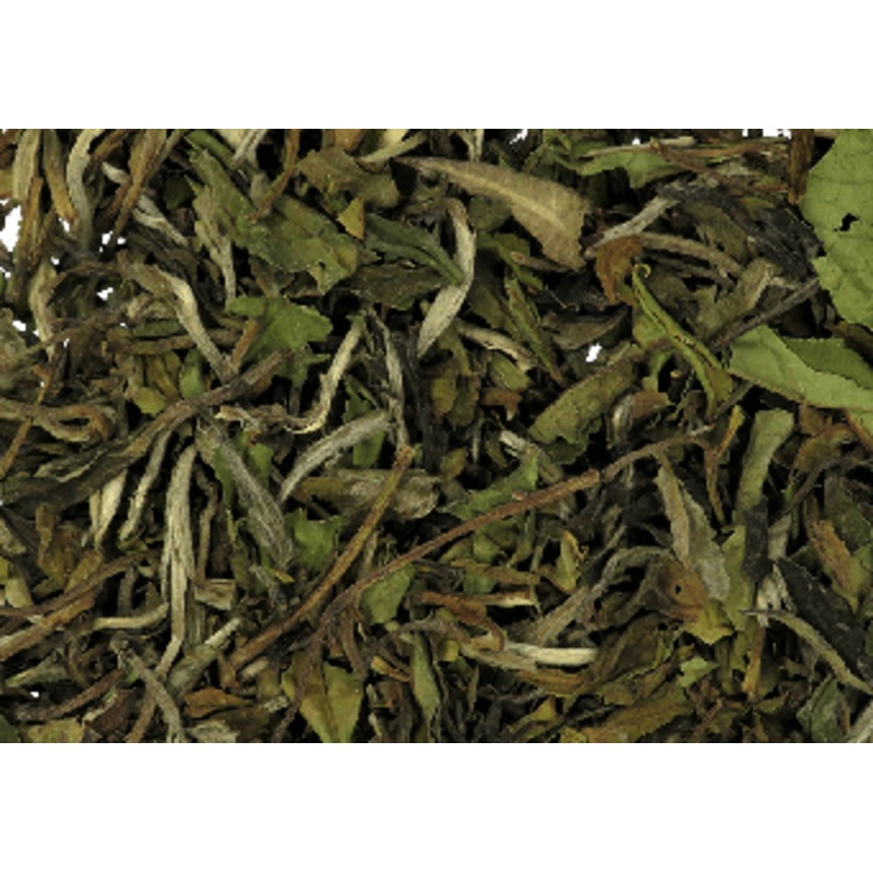 White Peony Tea (Pai Mu Tan)|3oz