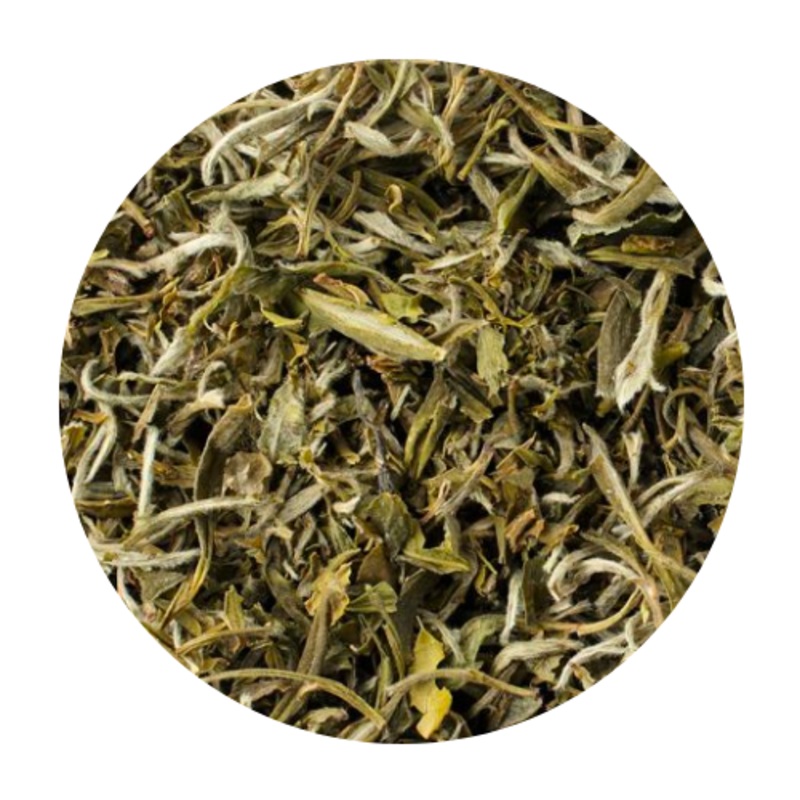 China Mutan White Tea|3oz (Avg. 30 Cups)