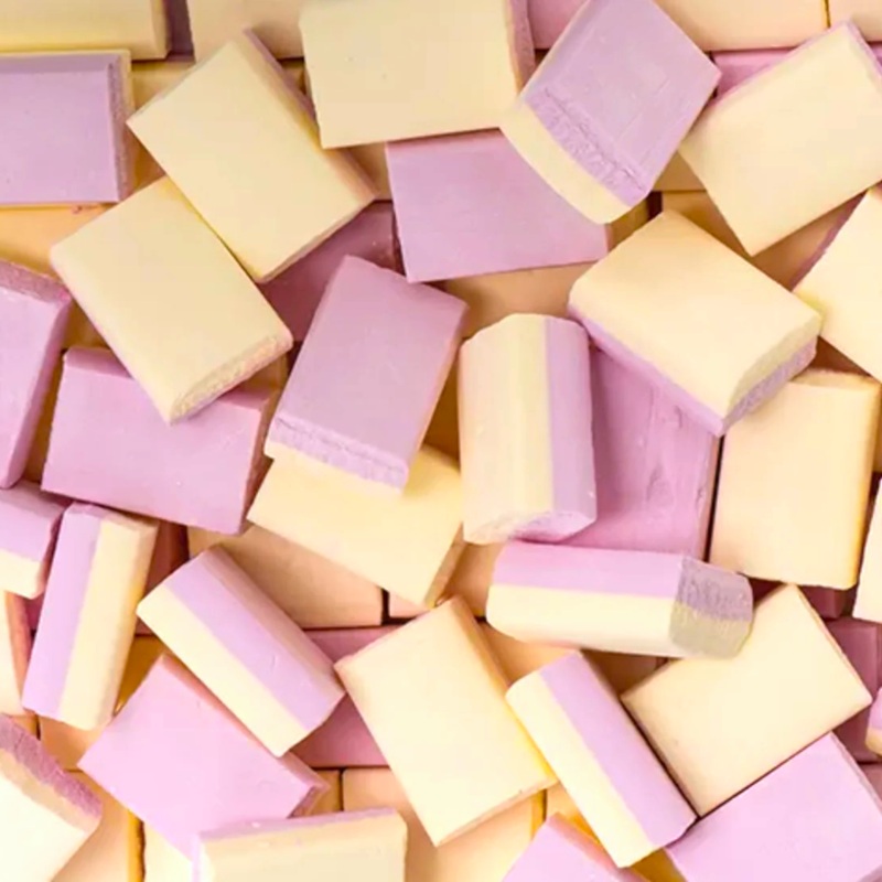 Vanilla Sherbet Ice Blocks|P