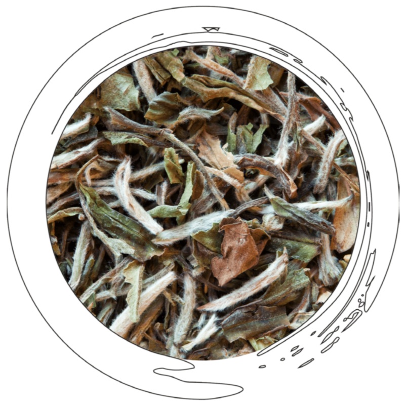 Bai Mu Dan Superior – White|1 oz (avg. 7 large cups)|2 oz|4 oz|16 oz|Cold Brew Pack (brews 64 oz) Low Sugar|Cold Brew Pack (brews 64 oz) No Sugar