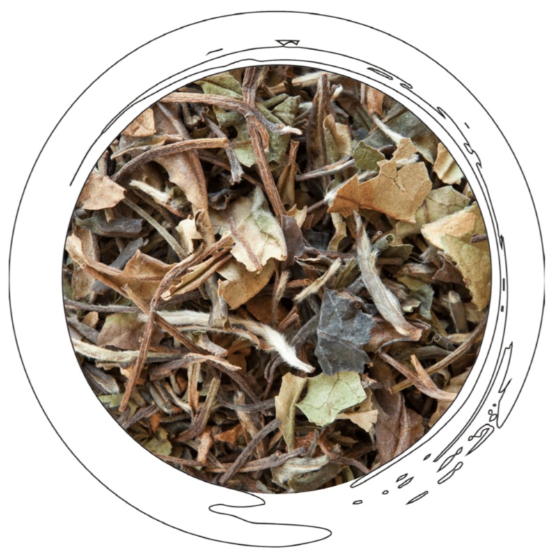 Strawberry Seduction – White Tea