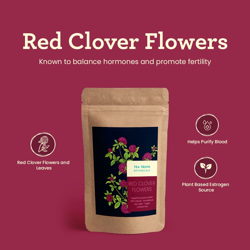 Red Clover Flowers|100 GMS|50 GMS|150 GMS