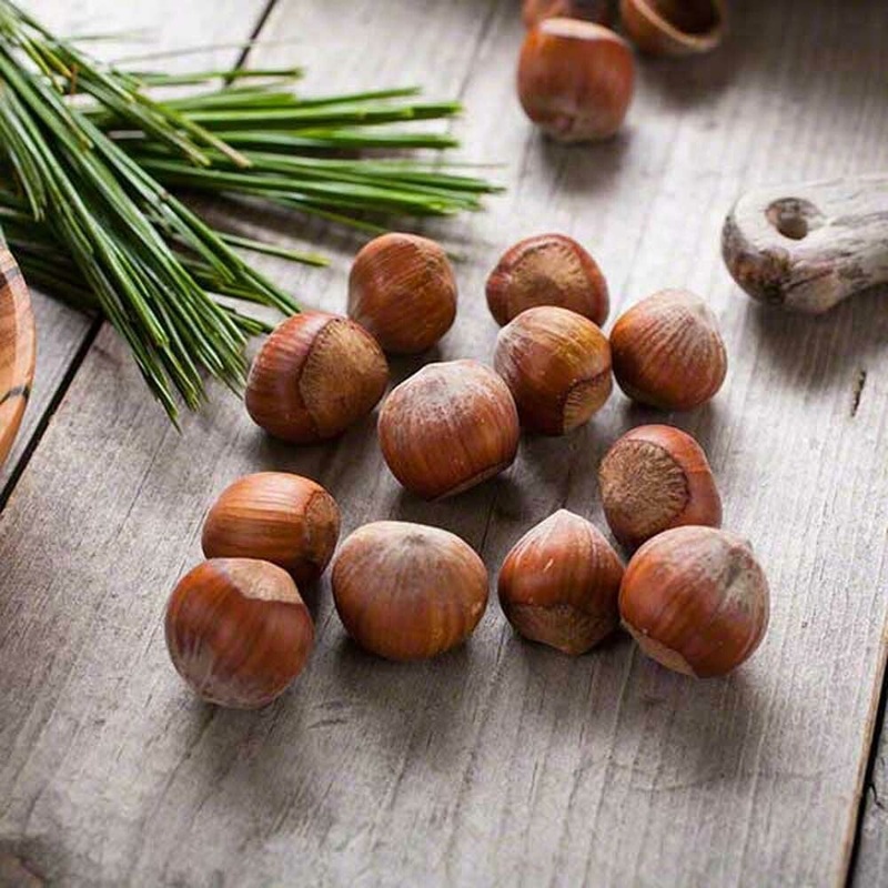 Amaretto Hazelnut Coffee and Tea Flavoring – Without Diacetyl