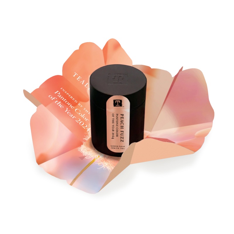 Pantone Color of the Year 2024 Peach Fuzz