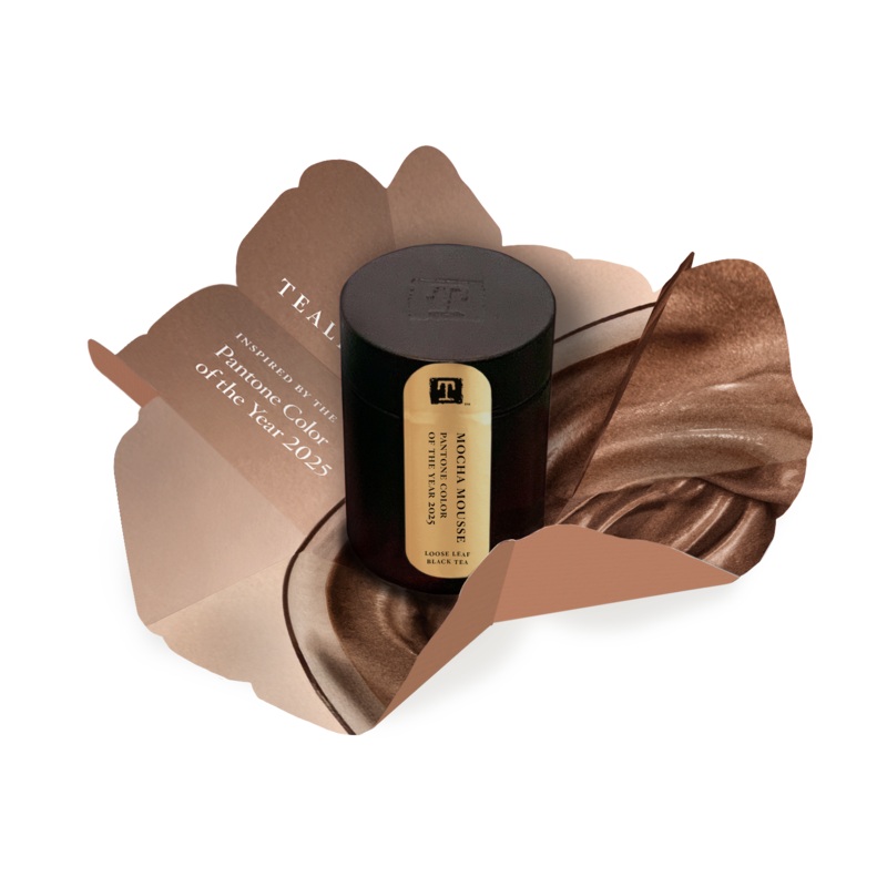 Pantone Color of the Year 2025 Mocha Mousse