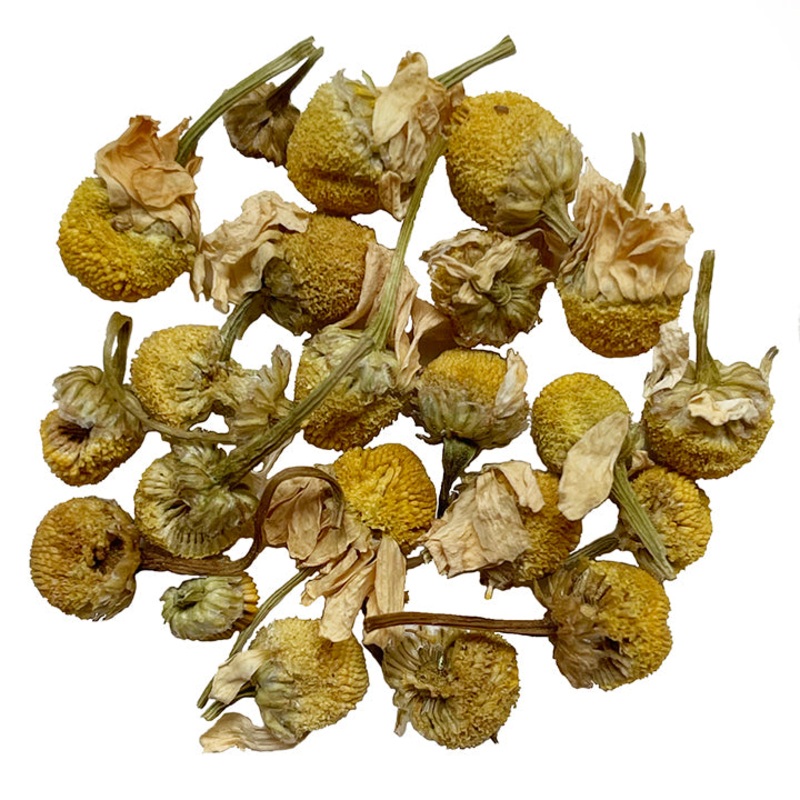 Camomile Blossoms