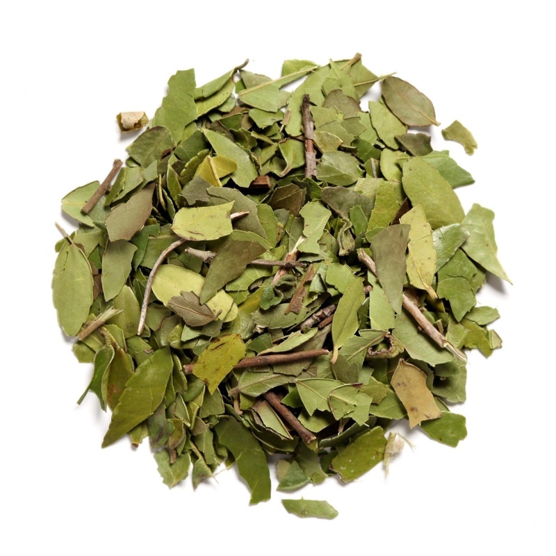 American Yaupon Organic|Standard Box|Large Bag|Sampler
