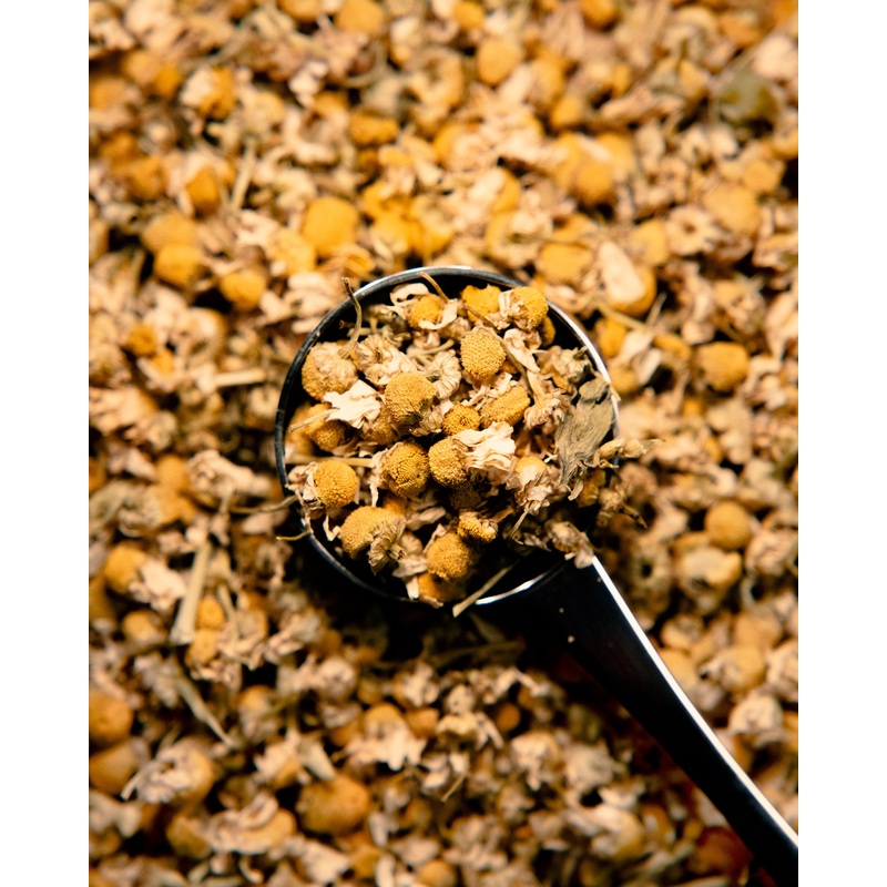 Camomile – Wholesale Tea