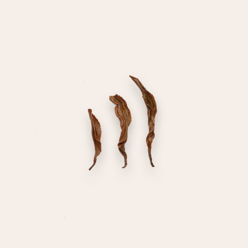 Firefly Black|50g Retail Package|250g