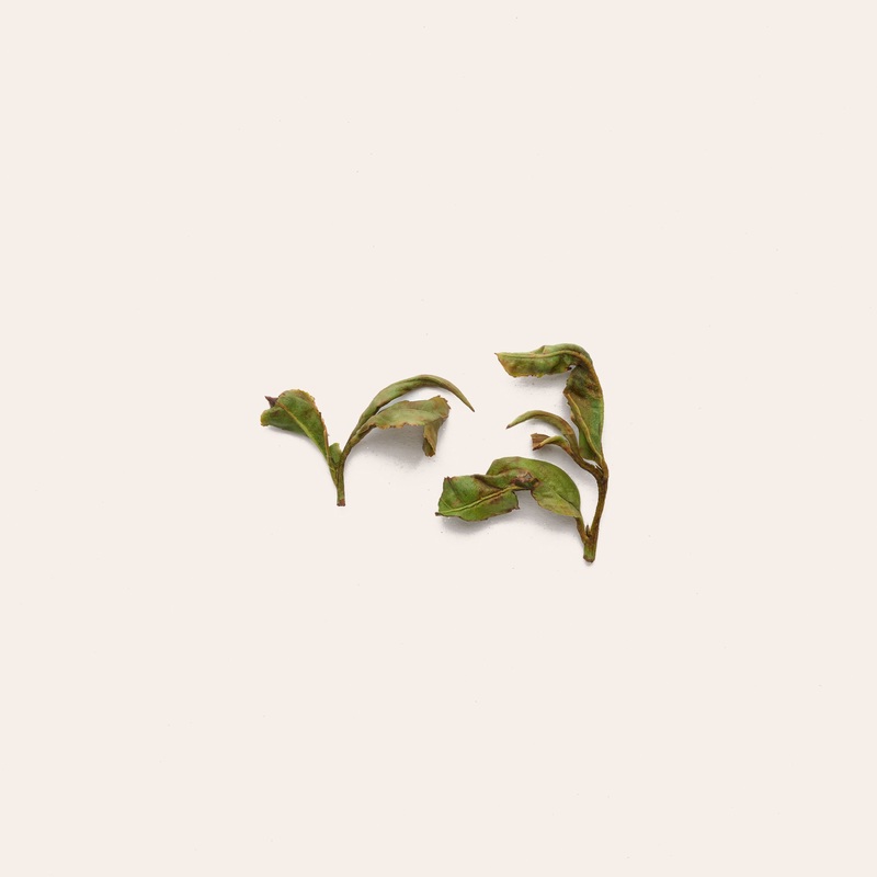 Fragrant Consort White|50g|250g