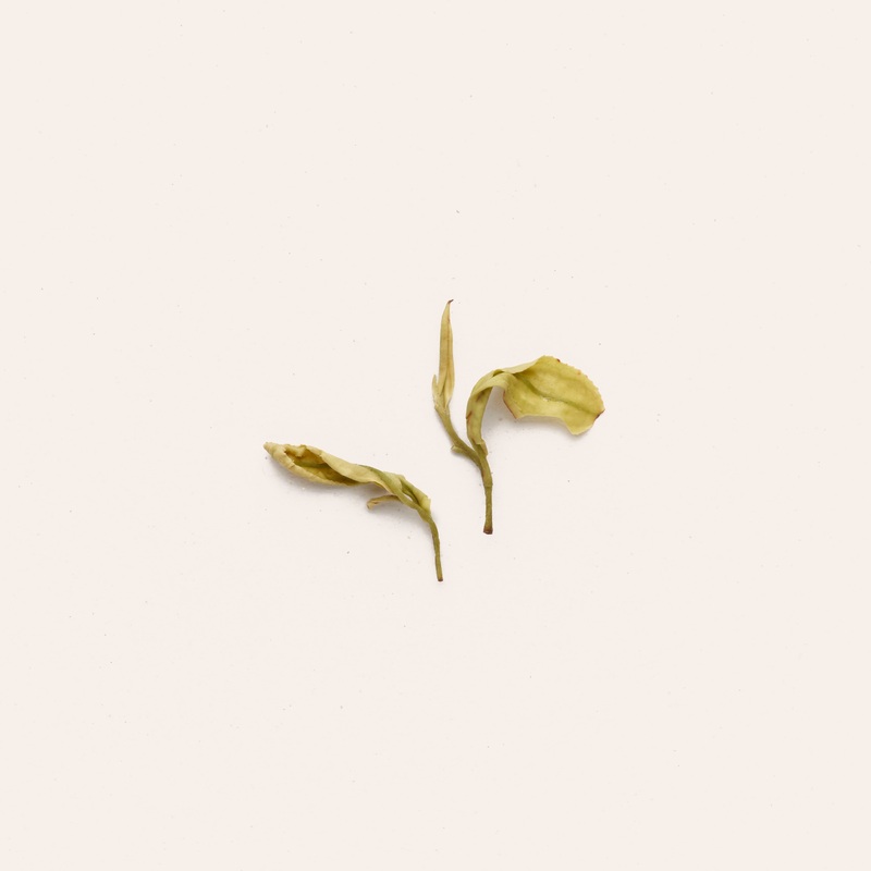 Golden Leaf|50g Retail Package|250g