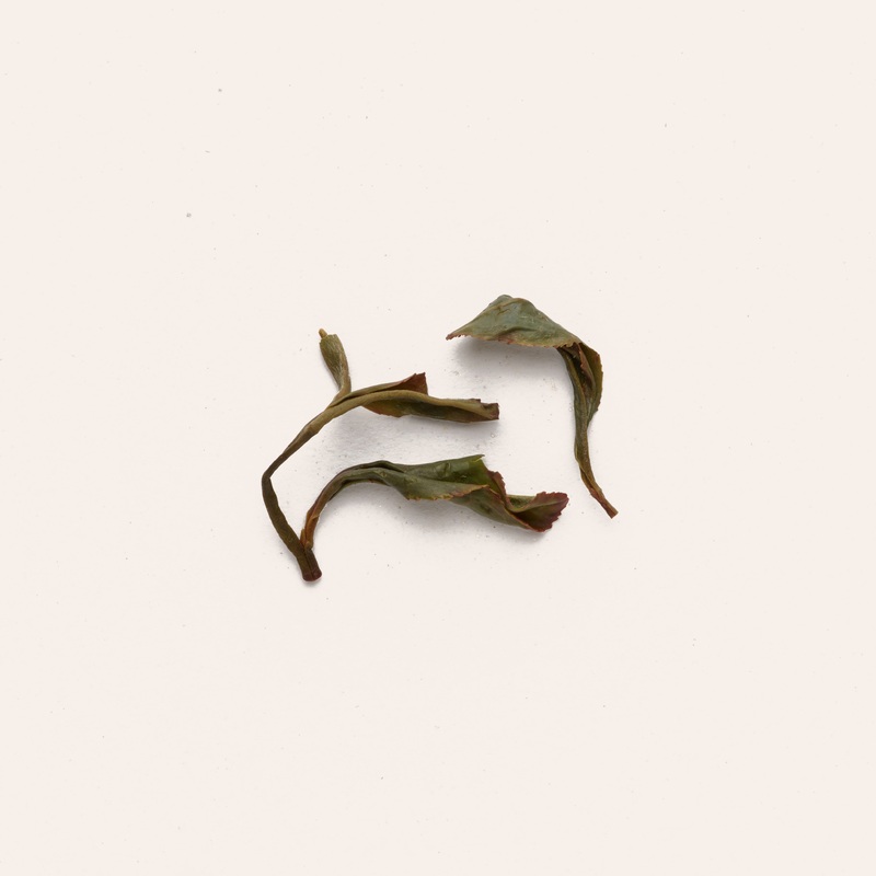 Izumi|50g Retail Package|250g