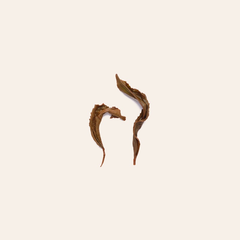 Korean Balhyocha|50g Retail Package|250g