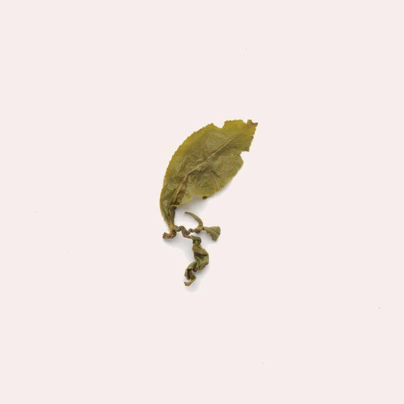 Mr. Chang’s Water Sprite|50g Retail Package|250g