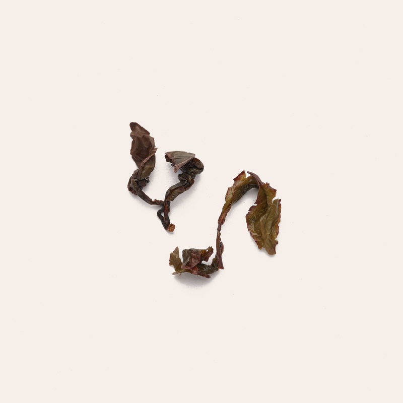 Mr. Chen’s Wuyi Cultivar|50g|250g