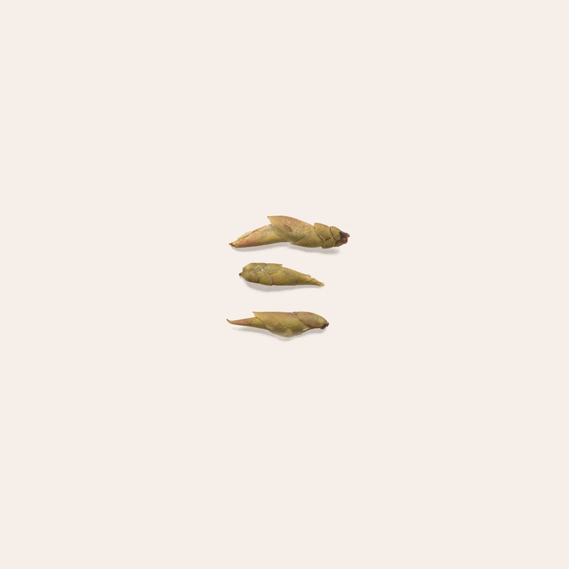 Dragon Tail|50g Retail Package|250g