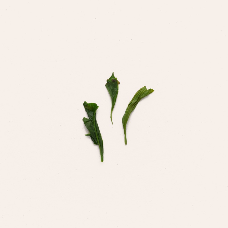 Gyokuro Asahina|50g Retail Package|250g
