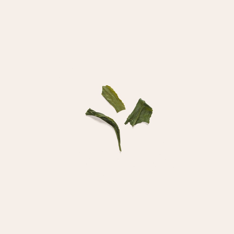 Katahira Kabusecha|50g Retail Package|250g