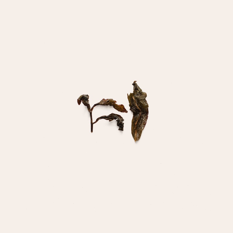 Mr. Chen’s 2006 Wuyi Cultivar|50g Retail Package|250g