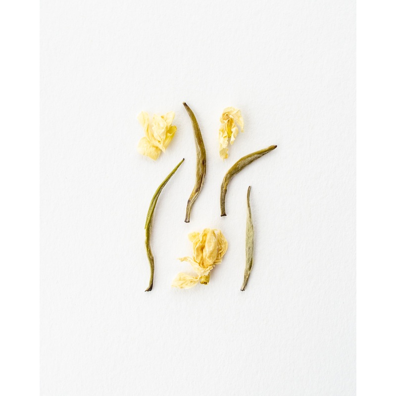 Falling Snow Jasmine – White Tea
