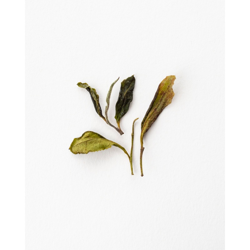 Georgian Wild Spring – White Tea