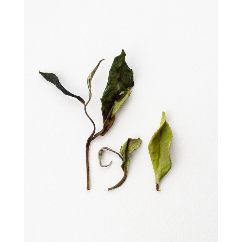 Mid Summer – White Tea