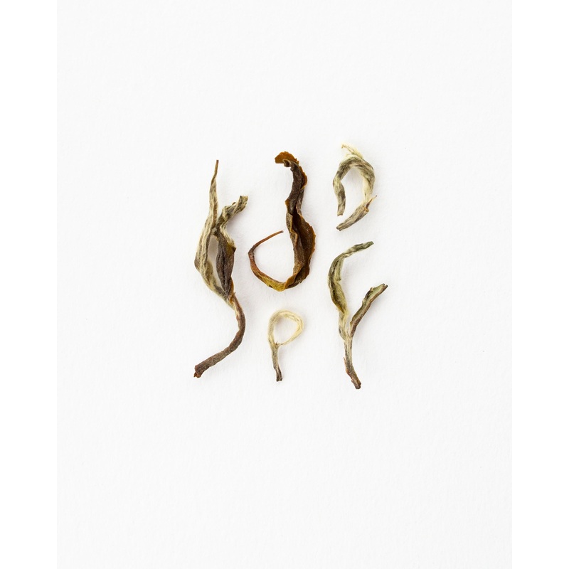 White Lotus – White Tea