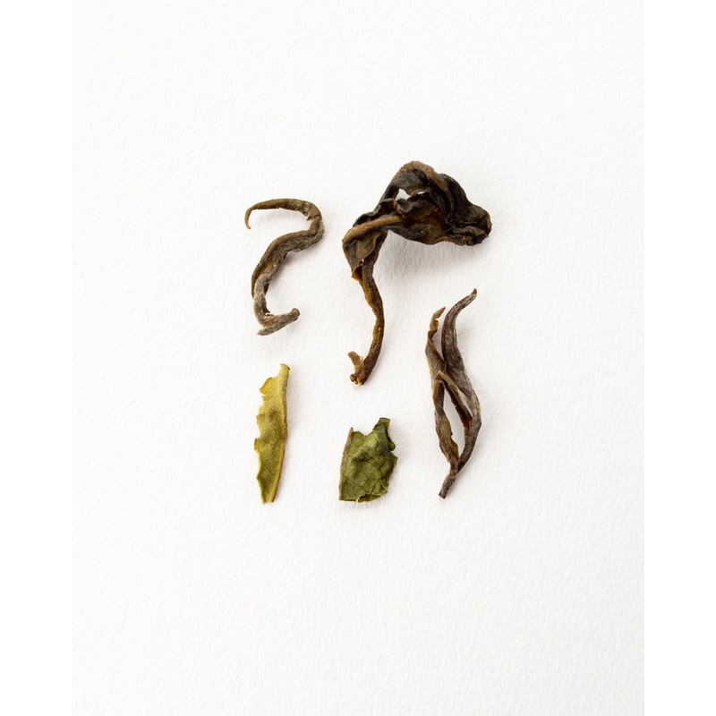 Darjeeling Giddapahar – Black Tea