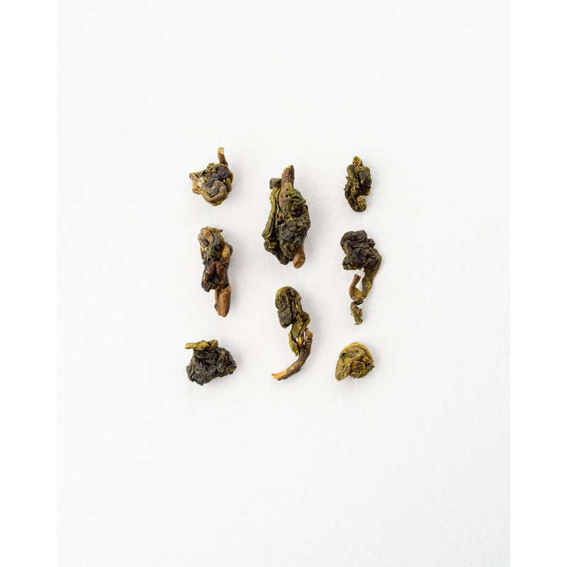 Milky Spring – Oolong Tea