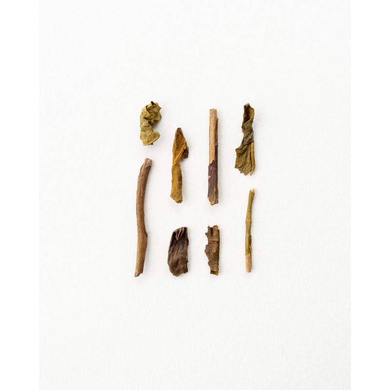 Mt. Aso Hjicha – Green Tea