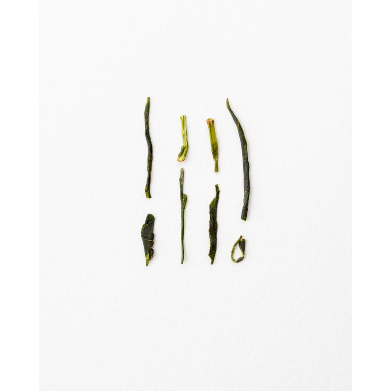 Sencha Ikenowaki – Green Tea