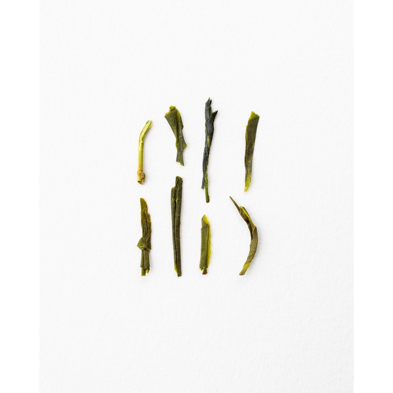 Sencha Suginomoto – Green Tea