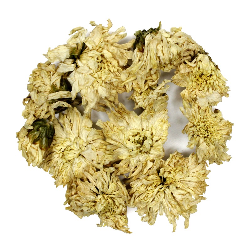 White Chrysanthemum Flowers|Sample|2 oz|4 oz
