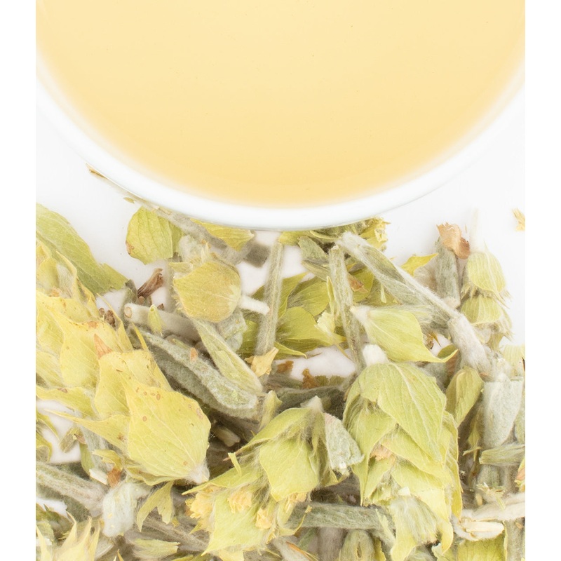 Greek Mountain Herb|Loose|.5 oz. Tin