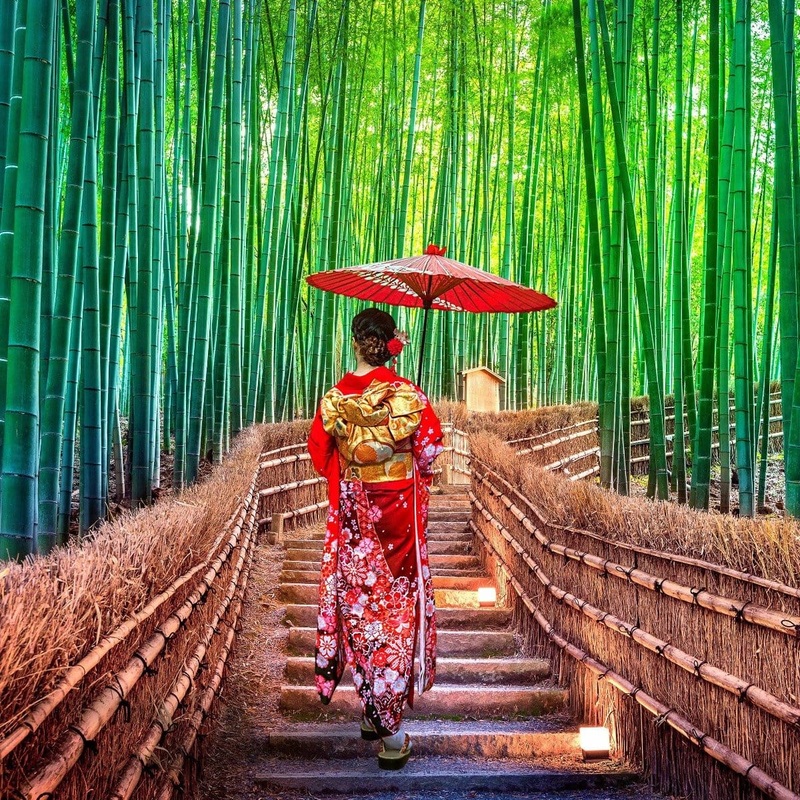 Kansai-Kyoto Ceremonial Matcha