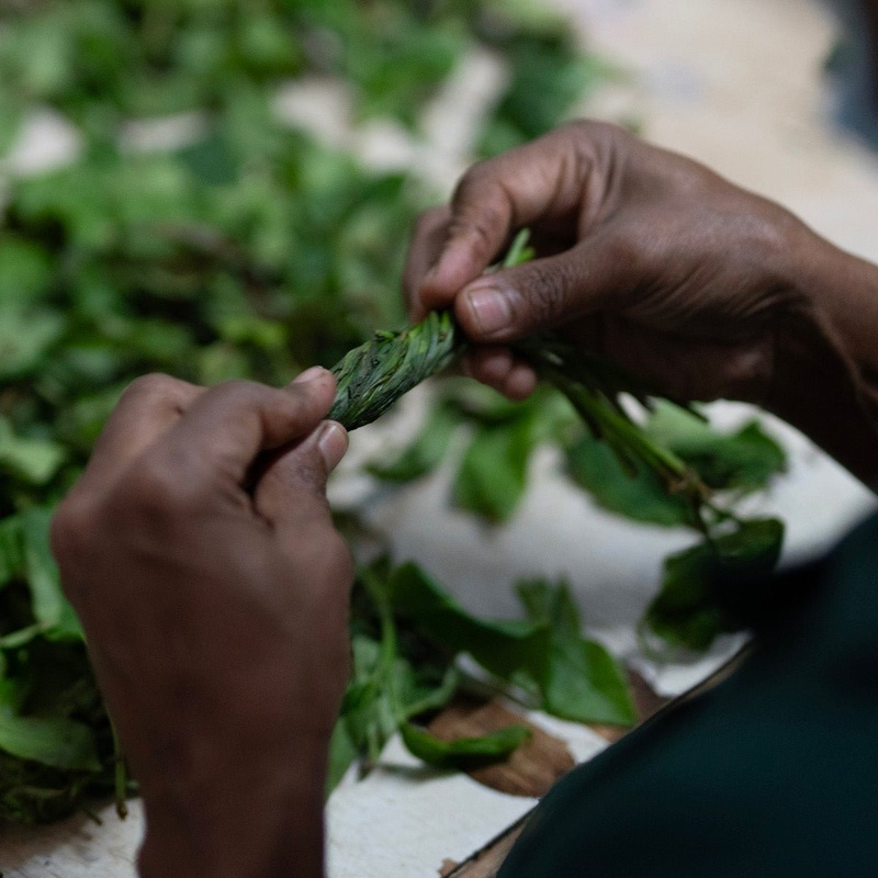 Biodynamic Handmade Blue Nettle Tea