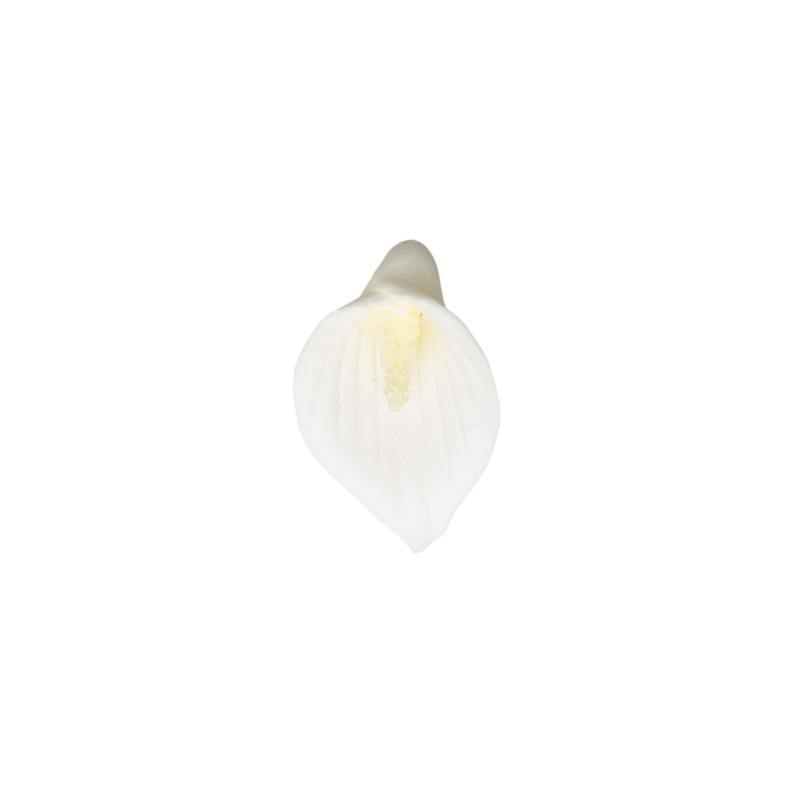1 Calla Lily w/o Wire – Petite – White