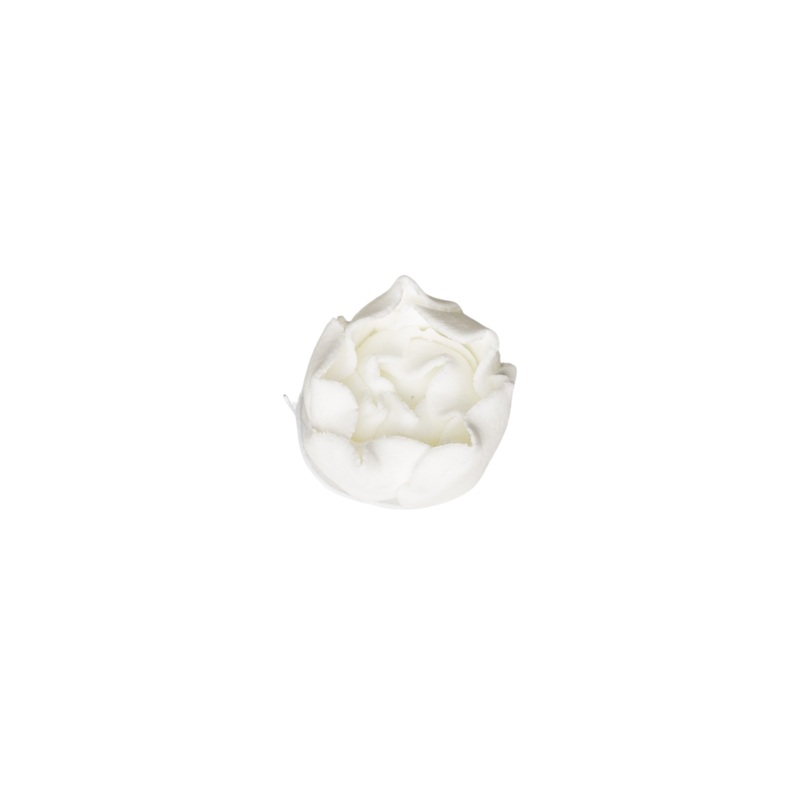 1 Ranunculus – Small/Bud – White