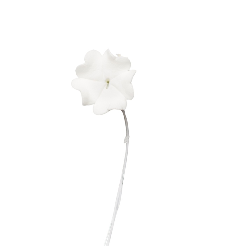1 Hydrangea – Small – All White